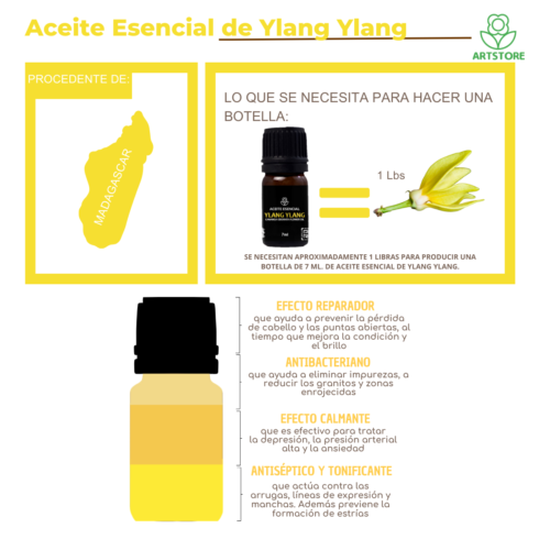Aceite Esencial de Ylang Ylang 7 ml - Imagen 2
