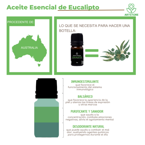 Aceite Esencial de Eucalipto 7 ml - Imagen 2