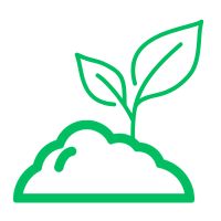 Plantas y polvos